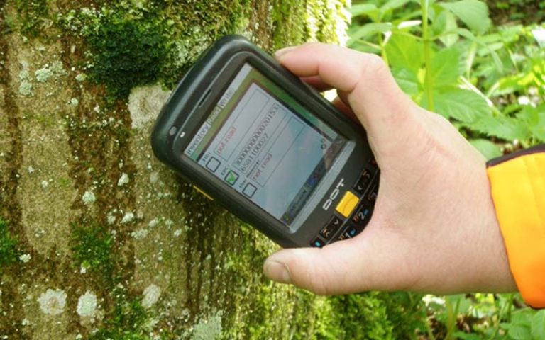Monitoring mit RFID-Technologie: Den Wald vor lauter Bäumen sehen…