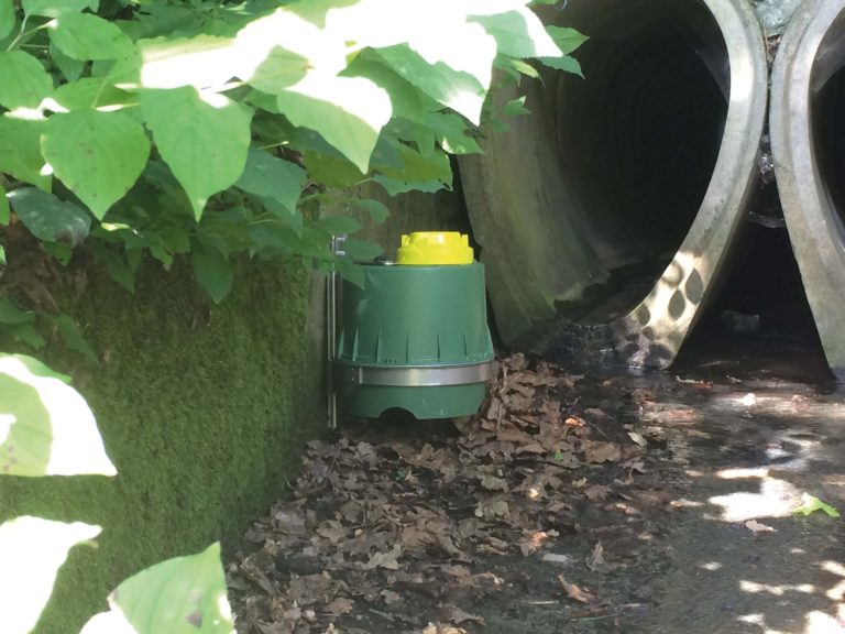 Rattenbekämpfung: Köderschutzboxen mit Klickverschluss