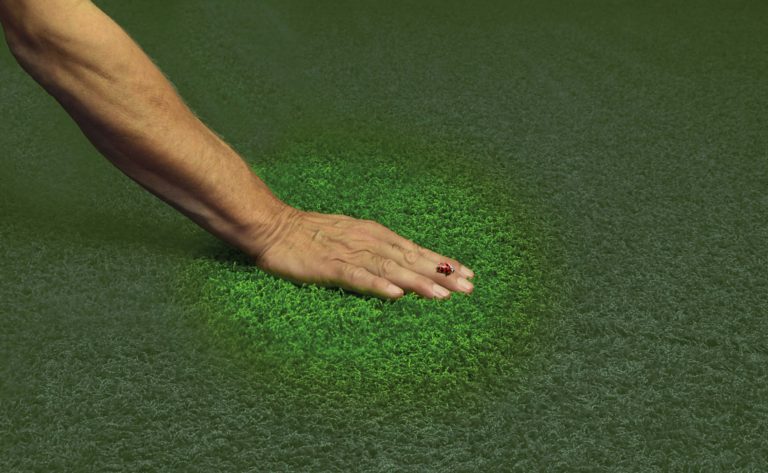 Nichts unter den Teppich kehren