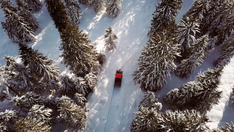 Gelassene Routine im Chaos