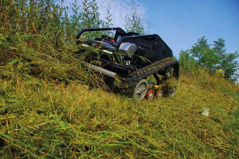 Zwei kraftvolle Problemlöser