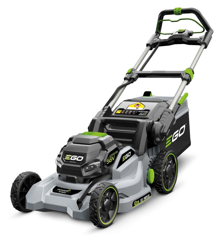 Auch der Kleinste ist ein ganz Großer