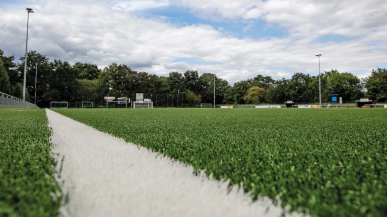 Kunstrasen von Profis