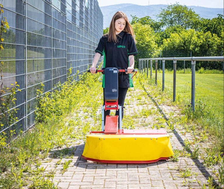 Ein Fuchs im Kampf gegen das Wildkraut