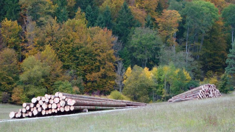 Mit Nachhaltigkeit einheizen