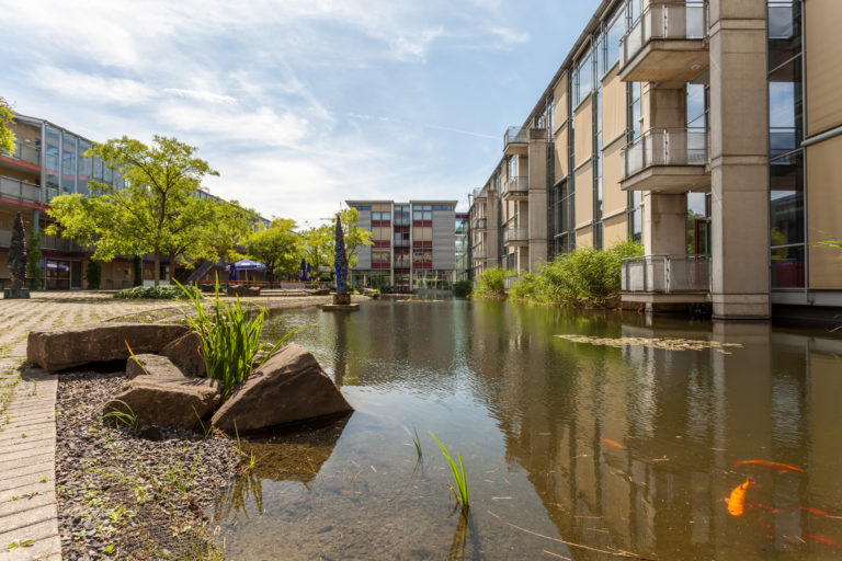 Studiengang Kommunales Immobilienmanagement