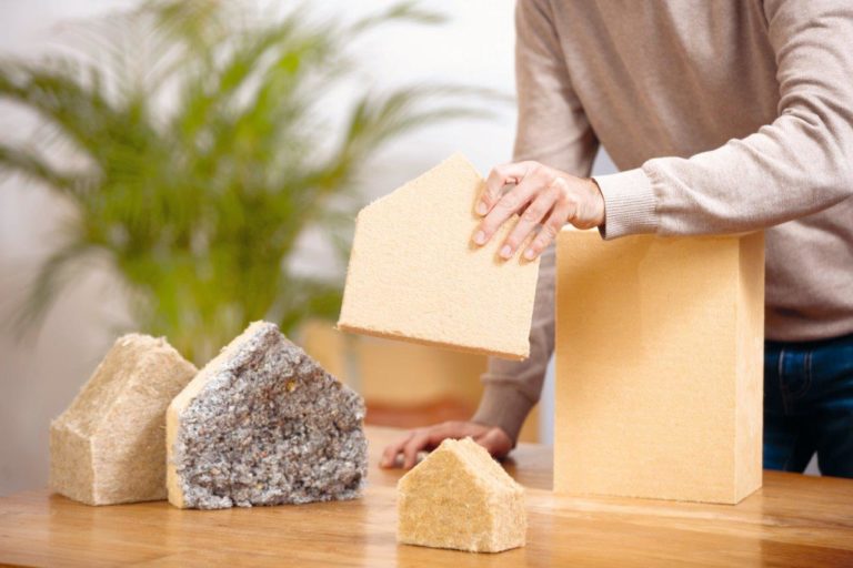 enercity-Fonds proKlima: Umfassende Fördermöglichkeiten für 2024