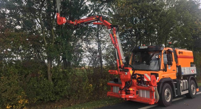 Erfolgreicher Kampf gegen den Eichenprozessionsspinner