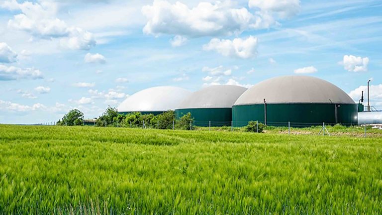 Das Wachstum ist grün