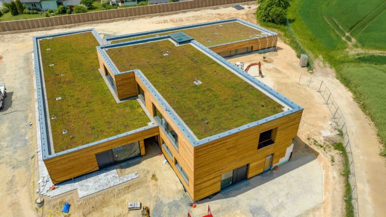 Grüne Dächer ohne Aufwand