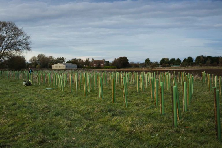Ein Baum für jede Pumpe