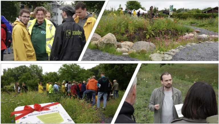 Stiftung für Mensch und Umwelt präsentiert erste Fläche ihres neuen, senatsgeförderten Projekts zur Stärkung der biologischen Vielfalt.