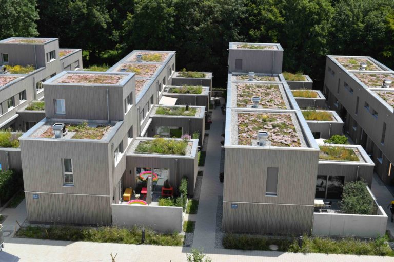 Begrünte Gebäude als Lösung für eine nachhaltige Zukunft