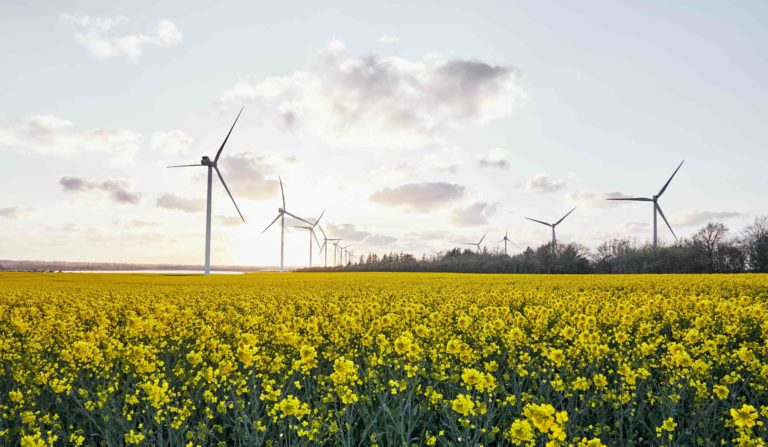 Encavis AG: Moderne Wind- und Solarparks als Gewinn für fortschrittliche Kommunen