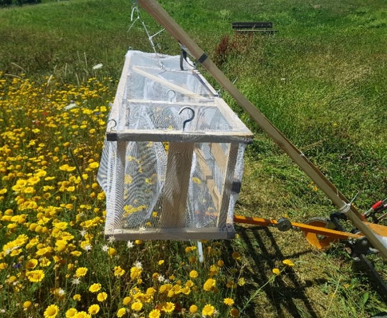 Faunaschonende Mahd: Wirksamkeit von Scheuchen bestätigt