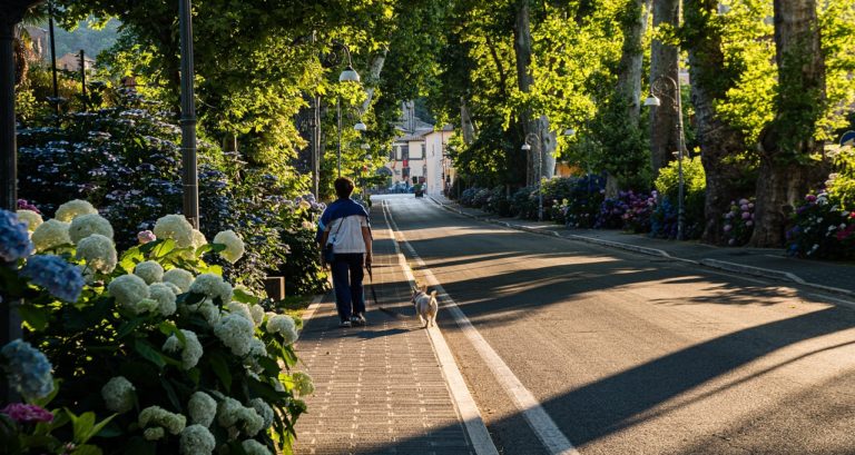 Suffizienz als kommunale Zukunftsstrategie